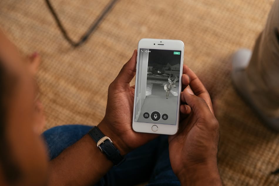 Guston KY security system